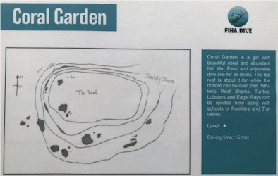 Coral Garden